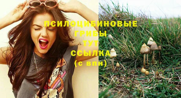 Альфа ПВП Абаза
