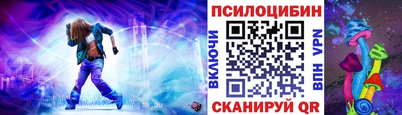Псилоцибиновые грибы Cubensis  что такое   Хасавюрт 